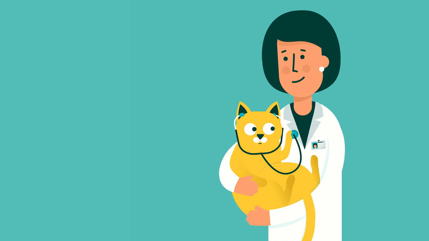Friendly illustration of a female veterinarian holding a yellow cat.