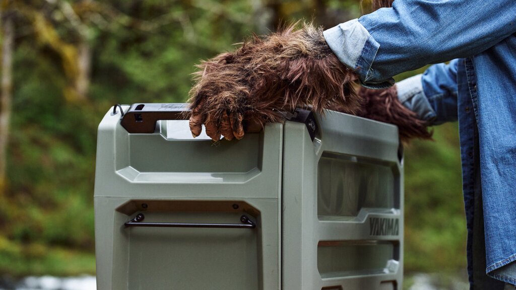 An image of sasquatch arms holding the Yakima OpenRange.